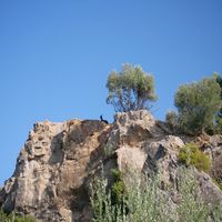 Photo de France - La randonnée du lac des Olivettes